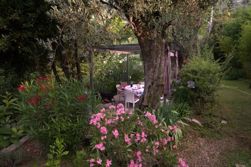 Bastide De La Lauve Bed and Breakfast Magagnosc Zewnętrze zdjęcie